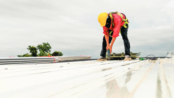 Best Roof Maintenance  in Basalt, CO